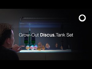 Grow-Out Discus Tank Set