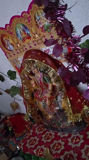 Jay Ho Mata Rani #Binder lohan fatafat