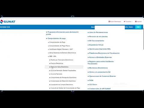 Cómo emitir una boleta electrónica desde SUNAT paso a paso 2025