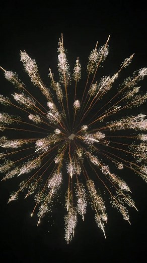 Gold Chrysanthemum Shining Willow Rise Firework Display