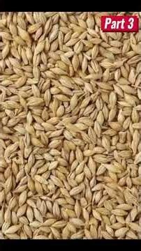 Gluten Free Diet for Celiac Disease..