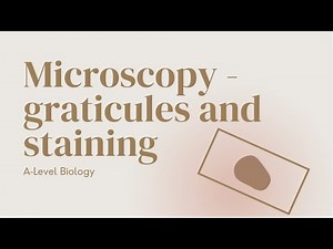Graticules and Staining 2.1.2 & 2.1.3 | A-Level Biology OCR A