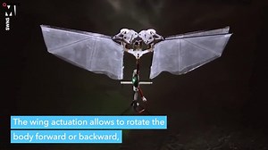 Flying robot with flapping wings like an insect