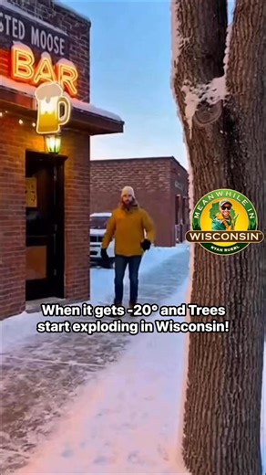 Wisconsin has exploding beer trees! 💥 🍻 🤯 #wisconsin #winter #weather #snow #trees | Meanwhile in Wisconsin