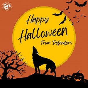 Happy Halloween from Defenders! 🎃🦇🕸️ | Defenders of Wildlife