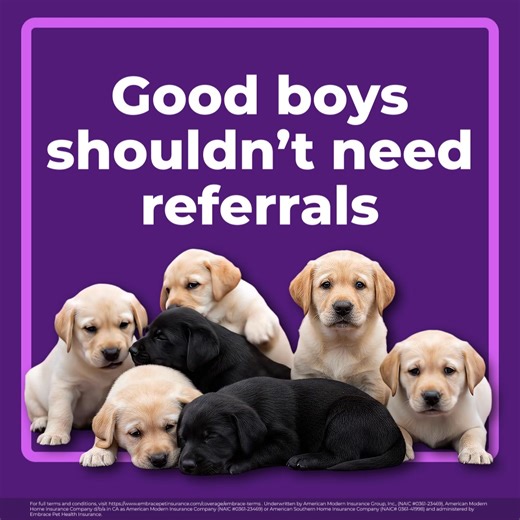 Embrace gives you the freedom to choose any licensed vet in the country without restrictions or referrals. | Embrace Pet Insurance