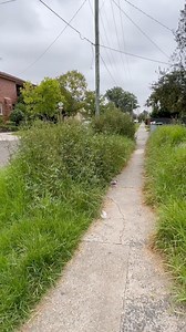 1.8M views · 78K reactions | Most overgrown yard on the street gets a makeover. Thoughts? #lawncare | Nathans Lawns and Gardens | Facebook