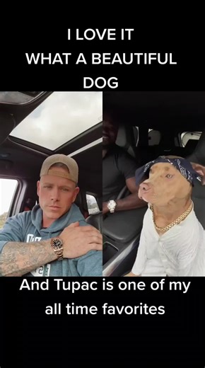 Rappers with Pitbull Dogs Singing Tupac Hits