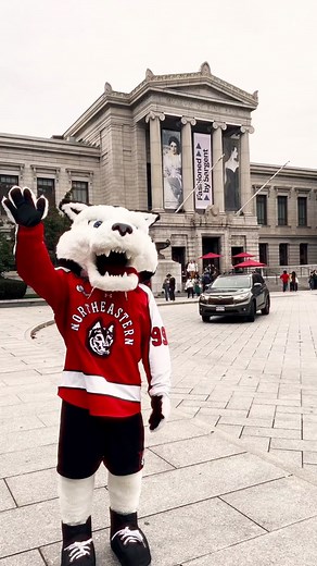 Vincent Van GOAT of Mascots @Museum of Fine Arts, Boston #art #arthistory #ArtTok #monet #baroque #renaissance #museum #museumtok #impressionism