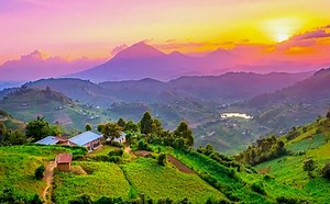 Comida típica de Uganda: Alimentación y platos populares