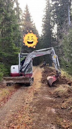 Excavator Digging a Trench in a Forested Area
