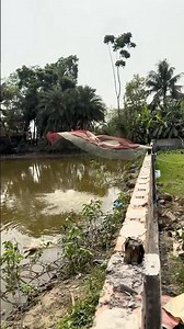 ￼ Amazing duck catching #shorts #fishing #duck #viralvideo #villagelife ￼