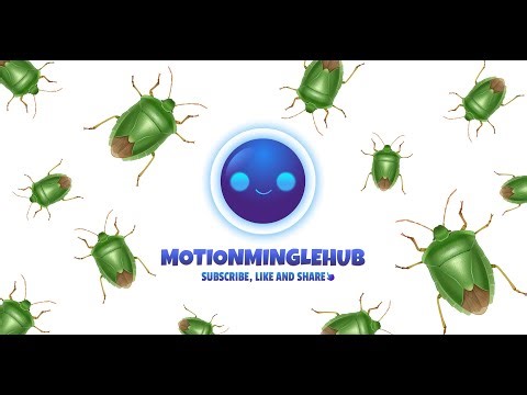 Bug Moving Around for Cats | Cat Entertainment Video