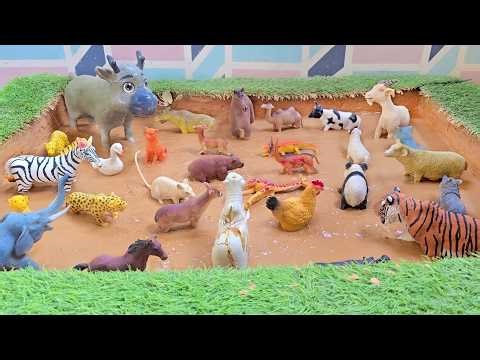 Discover the Beautiful World of Forest Animals and Giant Tree Animals in Mud