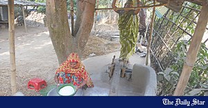 Dheki lives on to make pitha tasty