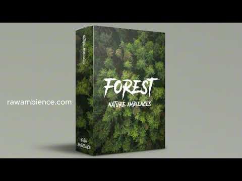 Forest – Nature Ambiences