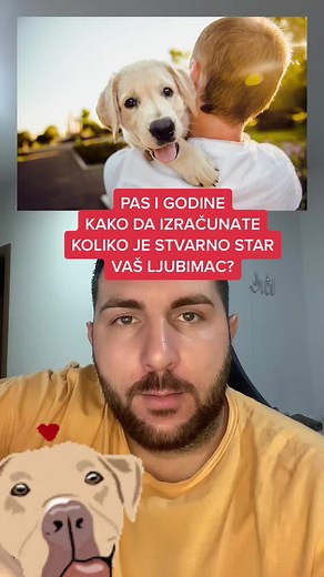 Koliko je star vaš pas?🙌❤️🦮 . . . . . . . #balkan #srbija #duleksja #trend #tiktokbalkan #croatia #bosnia #montenegro #škola #zanimljivo #zabava #pas #dog #ljubav #životinje