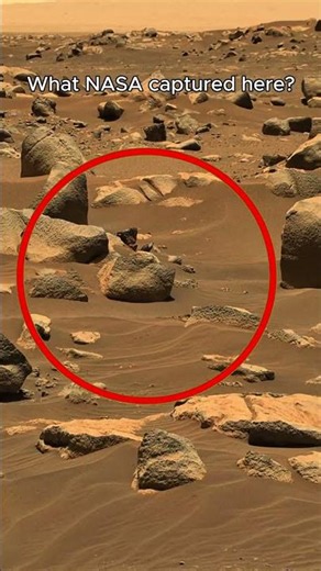 Mars, Sol 78: Humanity's Newest Eyes on Another Planet