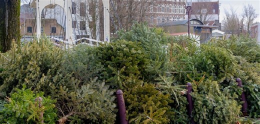 Kerstbomen en vuurwerkafval inzamelen: 2025 is begonnen!