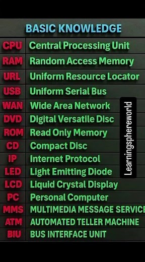 Basic Knowledge That Everyone Should Know 📚 | Learn Daily Basics
