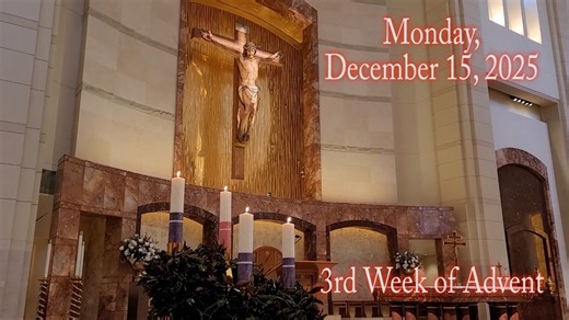 Fr. Jeff's Daily Spiritual Reflection Daily Readings: https://bible.usccb.org/bible/readings/121525.cfm O Sacred Heart of Jesus, we place our trust in you. Amen. | Co-Cathedral of the Sacred Heart Parish, Houston