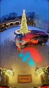 Porch Pirate Steals Package — Instantly Regrets It on Ring Camera