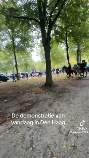 Chanels Ponywereld 🇳🇱 on Instagram: "Ik ben echt geschrokken van dit filmpje😔 Gisteren tijdens de demonstratie in Den Haag was er ook politie op paarden aanwezig. Hoe deze politieagent zijn paard behandeld kan echt niet😔 Ik snap er is gevaar dus ze moeten erop af maar hoe de agent in de mond van het paard aan het rukken is is echt vreselijk. Het lijkt alsof hij zijn paard heel hard slaat maar als je goed kijkt zie je dat hij vreselijk hard aan het trekken is. Politie paarden vind ik sowieso