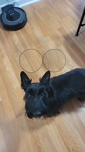 Beth Anderson (@beth..anderson)’s videos with