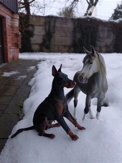 #collecta #schleich #ai #zasieg