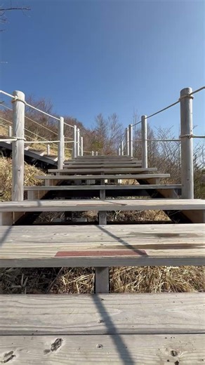 【八ヶ岳】清里の絶景スポット美しの森