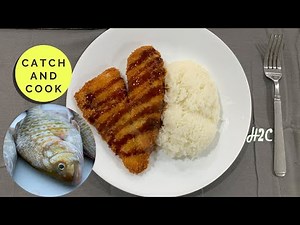 Barred Surfperch Katsu Catch and Cook