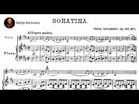 Franz Schubert - Violin Sonatina No. 1 (1816) {Szeryng/Haebler}