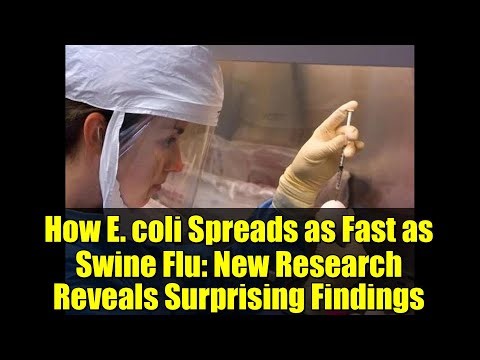 How E. coli Spreads as Fast as Swine Flu: New Research Reveals Surprising Findings