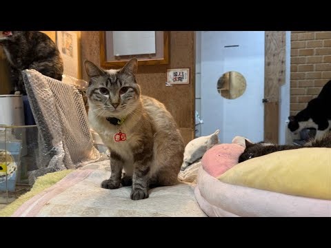 Thank you all very much. 皆様ありがとうございました。