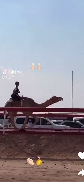 ‏#fyppppppppppppppppppppppp #fu #explor @MBR محمد لوتاه👃🏻🥇