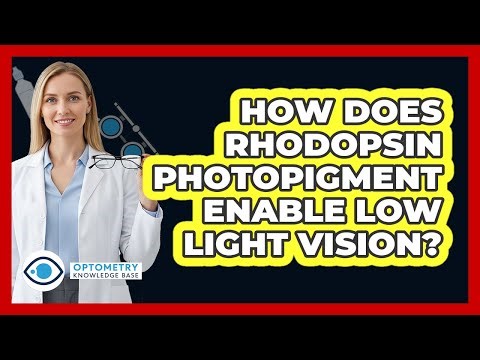 How Does Rhodopsin Photopigment Enable Low Light Vision?