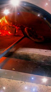 Murex Shields on Reels