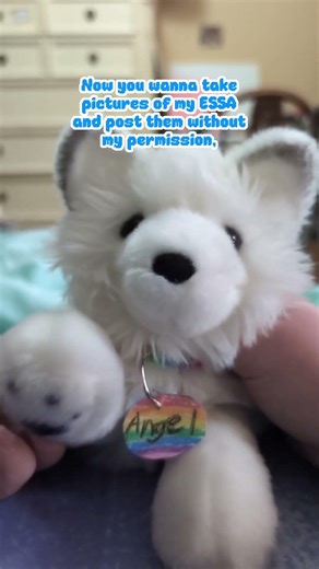 It's NONE OF YOUR BUSINESS!!! #essa #emotionalsupportstuffedanimal