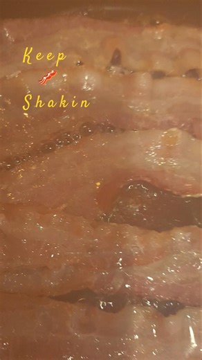 keep shakin 🥓
