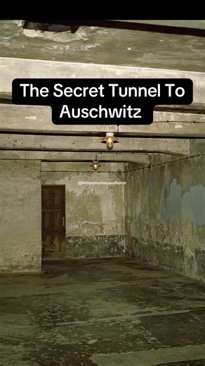 142K views · 2.3K reactions | The Secret Tunnel To Auschwitz #fyp...