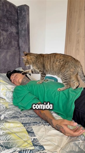 Do you prefer cats or dogs?