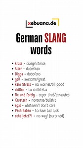 11K views · 172 reactions | These German slang terms are often used in casual conversations, particularly among younger speakers. #deutschlernen #learngerman #learngermanonline #deutschkurs | Xebuana.de | Facebook