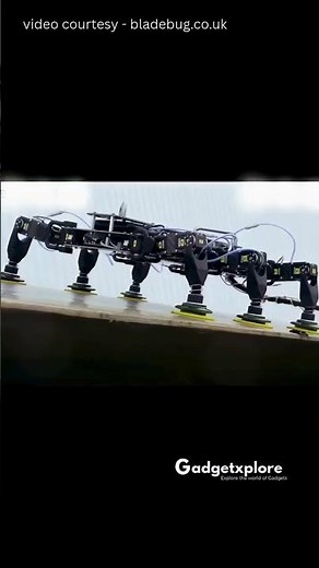 This Six-Legged Robot Conquers Rough Terrain 😳🤖