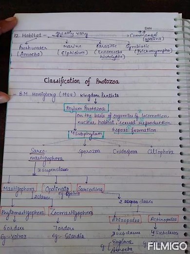 General characters and classification of phylum protozoa