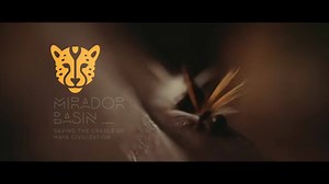 Spend a night filled with music with me in this intimate concert to support and raise funds for El Mirador Basin project in Guatemala. Buy your tickets now here: https://www1.ticketmaster.com/event/0D00575D93939C91 | Gaby Moreno