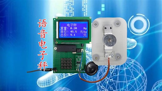 016D-基于51单片机语音电子秤（薇X：stmdiy）