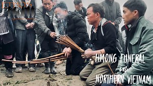 2.8K views · 37 reactions | WARNING! This video contains graphic...