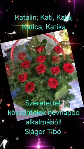 Kedves Katalinok,nagyon sok boldog névnapot kívánok szeretettel! | Sláger Tibó - Hivatalos oldal