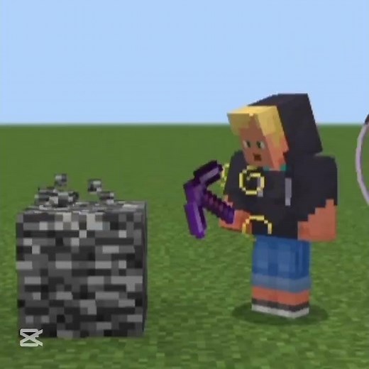 Bedrock Edit | #bedrock #minecraft #edit