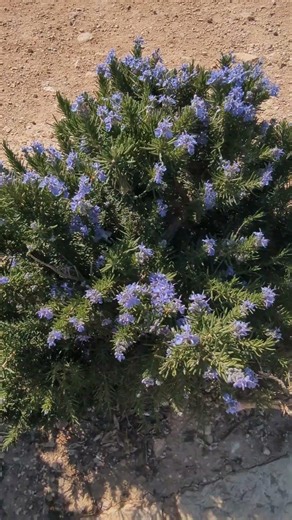 Coming up Next: We Traveled To Jordan As Tensions Started